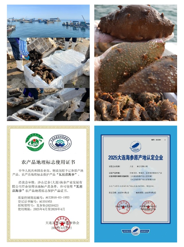 show_647972399_1757660477746.jpg show_647972399_1757660477746.jpg